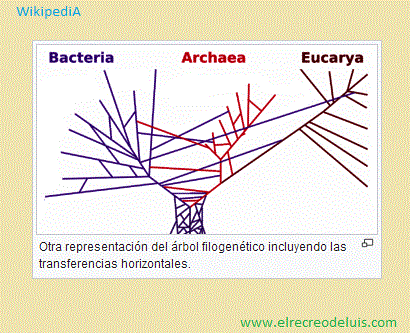 arbol filogenetico de la vida incluyendo las transferencias horizontales (38K)