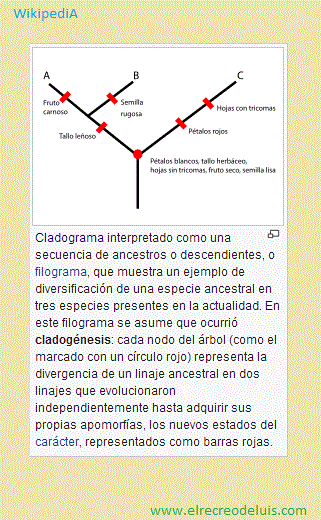 cladogenesis (47K)