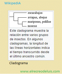 cladograma (24K)