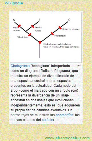 cladograma hennigiano (44K)