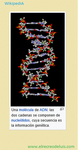 molecula de adn (37K)