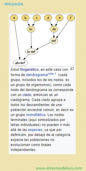 arbol filogenetico con forma de dendograma (53K)