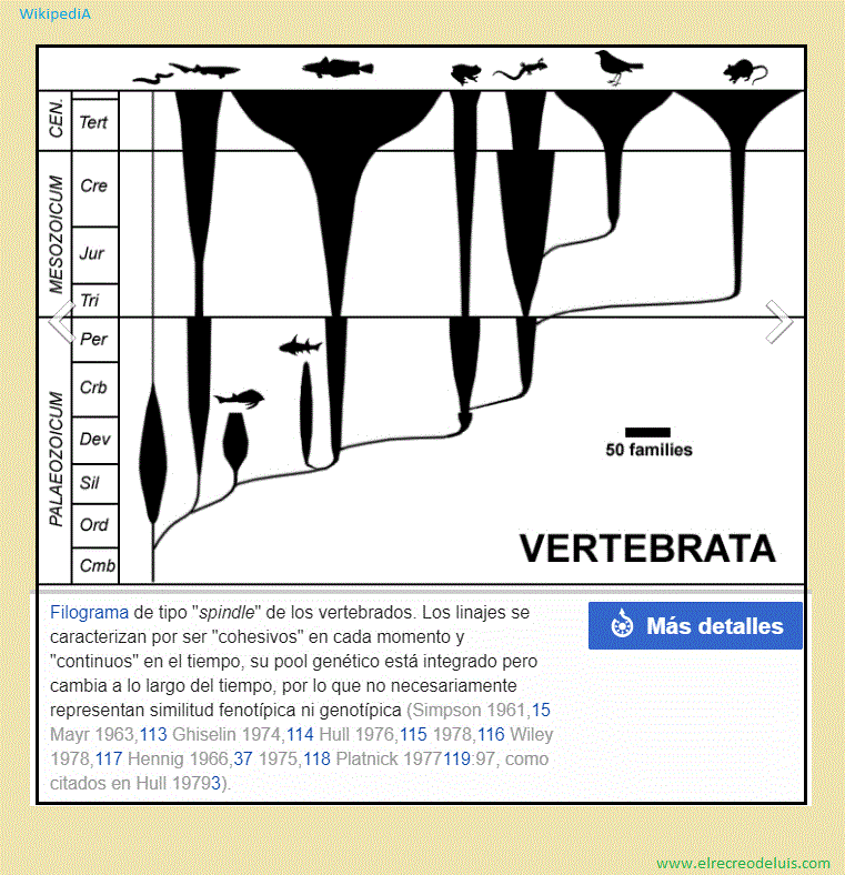 filograma de los vertebrados (85K)