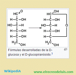 formula desarrolladas de la D-glucosa y el D-glucopiranosido (22K)