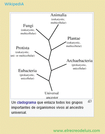 cladograma con el ancestro universal (33K)