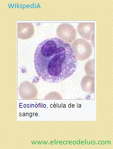 eosinofilo (24K)