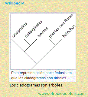 los cladogramas son arboles (22K)