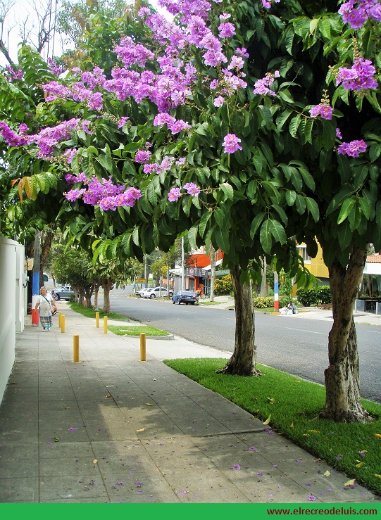 Calle de San Salvador